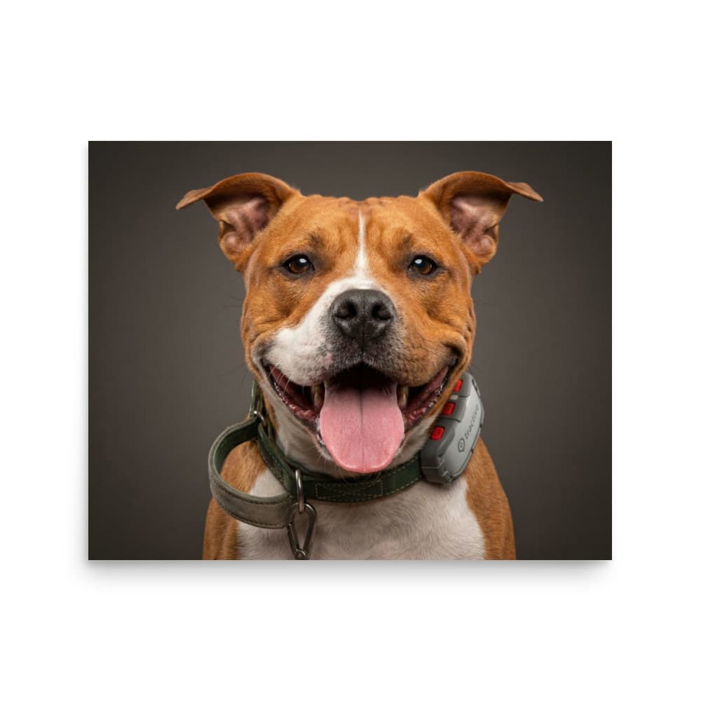 A custom pet portrait printed on a premium photo print